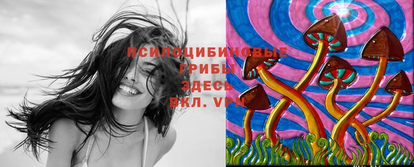 мдпв Белокуриха