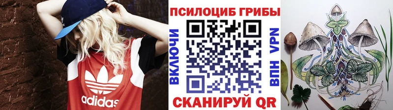 купить   Шимановск  blacksprut ссылка  Псилоцибиновые грибы MAGIC MUSHROOMS 